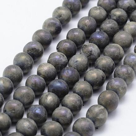 Galvanoplastie perles de labradorite naturelle brins G-F518-05-10mm-1