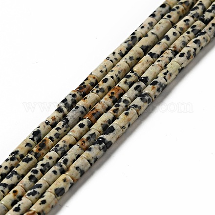 Chapelets de perles en jaspe dalmatien naturelle G-I326-07-1