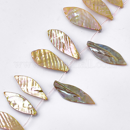 Freshwater Shell Beads Strands X-SHEL-T012-51A-1
