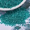MIYUKI Delica Beads, Cylinder, Japanese Seed Beads, 11/0, (DB0904) Sparkling Aqua Green Lined Crystal, 1.3x1.6mm, Hole: 0.8mm, about 10000pcs/bag, 50g/bag