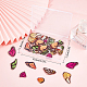 SUNNYCLUE 1 Box 56Pcs 14 Style Butterfly Wings Charms Butterflies Charm Insect Acrylic Double Sided Wing Charms for Jewelry Making Charms Earring Bracelet Necklace Keychain Supplies Adult Women Craft OACR-SC0001-11-7