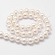 Chapelets de perles en coquille BSHE-L026-03-6mm-3