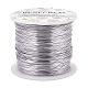 BENECREAT 22 Gauge 850FT Aluminum Wire Anodized Jewelry Craft Making Beading Floral Colored Aluminum Craft Wire - Silver AW-BC0003-17P-1