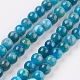 Natural Apatite Beads Strands G-F568-020-6mm-1