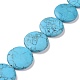 Synthetic Turquoise Beads Strands G-P469-06-1