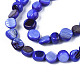 Chapelets de perles de coquille de trochid / trochus coquille SHEL-S258-083-4