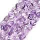 Natürlichen Amethyst Perlen Stränge&nbsp;G-P568-C04-01-2