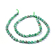 Chapelets de perles en agate d'herbe verte naturelle G-L505-43-2