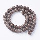 Natural Snowflake Obsidian Beads Strands G-G697-F04-8mm-2
