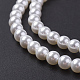 Cuentas perlas de concha de perla BSHE-P023-3mm-3
