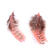 Accessori costume di piume di pollo X-FIND-Q460-05-3