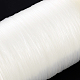 ナイロンワイヤー  釣り糸  ビーズスレッド  透明  0.4mm  約1585.73ヤード（1450m）/ロール NWIR-R012-0.4mm-2