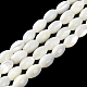 Brins de perles de coquillages naturels de troca BSHE-E030-02A-2