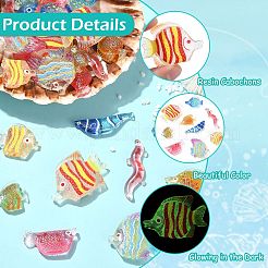 45 pz 9 stili di cabochon in resina trasparente a forma di pesce&nbsp;CRES-CJZ0009-01
