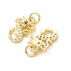 Messing Micro Pave schwarz Zirkonia Charms&nbsp;CU-E003-18G-18