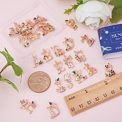 26pcs 26 pendentifs en émail en alliage de style&nbsp;FIND-SC0005-48