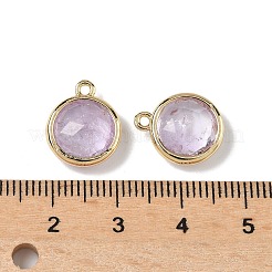 Dijes redondos planos facetados de amatista natural&nbsp;G-U028-03G-09
