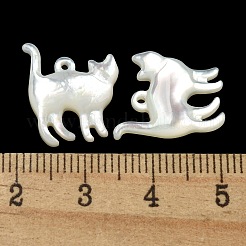 Natürliche weiße Muschel Anhänger&nbsp;SSHEL-N038-05A-01
