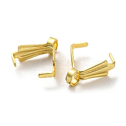 316 chirurgischer Edelstahl-Anhänger-KlemmKlauen&nbsp;STAS-Q310-04G