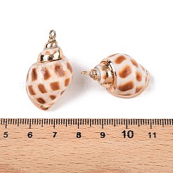 Natürliche Muschel Anhänger&nbsp;SSHEL-N038-50
