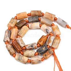Fili di perline agata pazzesco naturale&nbsp;G-A314-A04-01