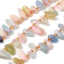Naturperlen Stränge morganite&nbsp;G-Z091-A05