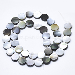 Natürliche schwarze Lippe Muschelperlen&nbsp;SSHEL-N036-034B-01
