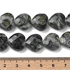 Natürliche kambaba Jaspisperlenstränge&nbsp;G-A309-A01-01