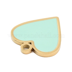 Ionenplattierung (IP) 304 Edelstahl Emaille Anhänger&nbsp;STAS-Z078-23G