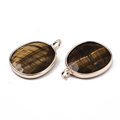 Pendentifs en œil de tigre naturel&nbsp;G-T131-108
