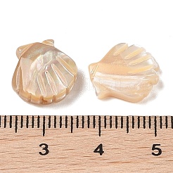 Natürliche geschnitzte Trochus-Muschelperlen&nbsp;SHEL-P017-08B
