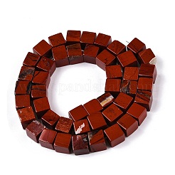 Natürliche rote Jaspis Perlen Stränge&nbsp;G-T139-8x8-12A