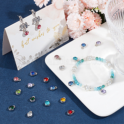 72 Stück Charms aus Platinlegierung in 12 Farben&nbsp;RGLA-SC0001-05