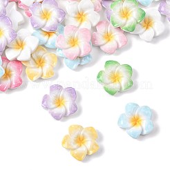 70 Stück 7 Farben Plumeria Blume undurchsichtige Harz Cabochons&nbsp;CRES-FS0001-32