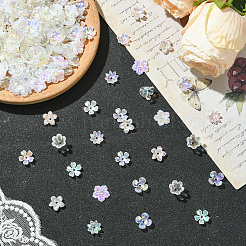 300 pièce 6 styles de perles d'imitation en plastique ABS et de capuchons de perles en acrylique&nbsp;OACR-SC0002-35