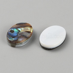 Cabuchones de concha paua naturales&nbsp;FIND-WH0110-867