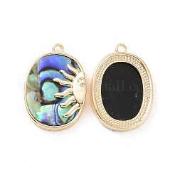 Natur Paua Muschel Anhänger&nbsp;KK-A168-03G