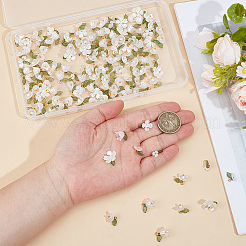160pcs 8 Arten Acrylanhänger&nbsp;FIND-SC0021-55G