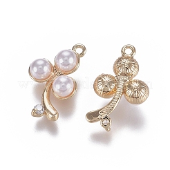 Messing Anhänger & Charms&nbsp;KK-K379-09G