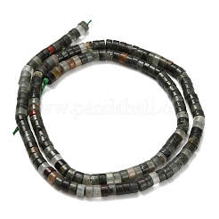 Natürliche afrikanische Heliotrop Perlen Stränge&nbsp;G-Z110-A31-2x4mm