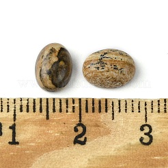 Natur Bildjaspisses cabochons&nbsp;G-A094-01B-48
