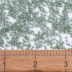 Miyuki Delica Perlen&nbsp;SEED-MY11-DB0689