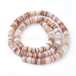 Perlas de concha hebras&nbsp;SSHEL-E571-49D