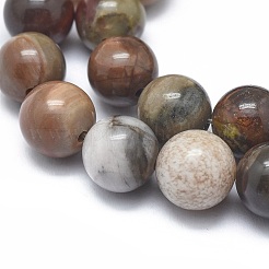 Chapelets de perles en bois pétrifié naturel&nbsp;LS-G-I254-07B