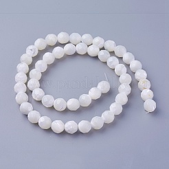 Perlas de concha hebras&nbsp;SSHEL-E571-38-8mm