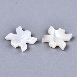 Shell perle bianche naturali&nbsp;SSHEL-ZX004-02E