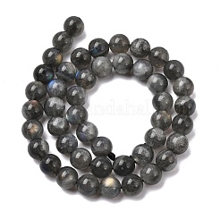 Natur Labradorit Perlen Stränge&nbsp;G-J120-28-8mm-A