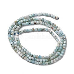 Larimar naturale perline fili&nbsp;G-F803-C01-01