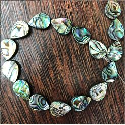 Filamenti di perline conchiglia paua&nbsp;BSHE-WH0001-07