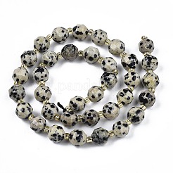 Chapelets de perles en jaspe dalmatien naturelle&nbsp;X-G-N326-100-02